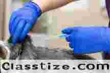 Best Veterinary Injection Manufacturers In India