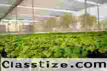 Seed research and development