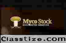 buy mushroom liquid cultures