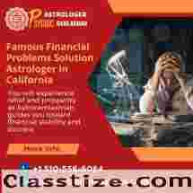 Famous Financial Problems Solution Astrologer in Bayarea,California