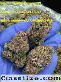  Where can I find a reliable source for weed in The United Kingdom #SpAIN Japan Is there a CBD oil shop 