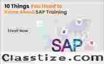 Best SAP Training in Noida