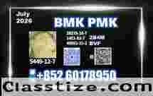 Premium BMK CAS 5449-12-7 New Batch Ready