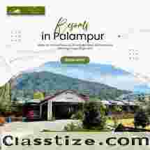Resorts in Palampur for Luxury and Nature