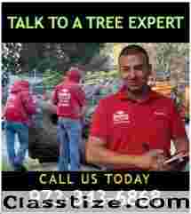 Flexible Tree Removal Financing NJ – Amazing Tree Services