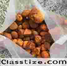 Wholesale supplier of high quality cow/ox gallstones. WhatsApp: +237-682890280