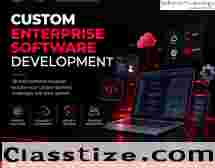 Custom enterprise software development