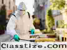 Professional Pest Management You Can Trust in Mohali
