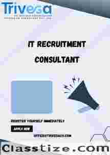 IT Recruitment Consultant