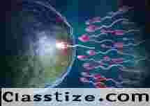 Clinical Embrology Training Course in Bangalore - ART Training Course Near Me - Enroll Today