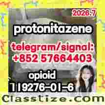 CAS 119276-01-6 Protonitazene (hydrochloride) High purity