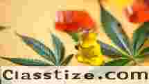 https://www.facebook.com/GreenLifeCBDGummiesCost/