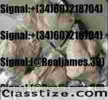 CAS 28578-16-7 NEW PMK POWDER Organic Raw Materials 