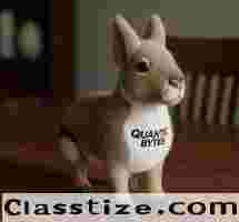 Beyond the Cuddle: Build Loyalty with Custom Plushies.
