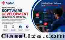 Professional Software Development Services in Madurai