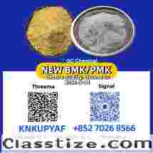 High Purity Compounds PM.K 28578-16-7 with BM.K CAS 5449-12-7