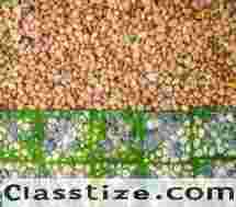 Professional Gravel Driveway in Miami, FL for Cost-Effective Surface Solutions