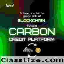 Blockchain carbon credit platform development