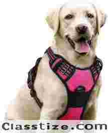 rabbitgoo Dog Harness No Pull with 2 Leash Clips Review