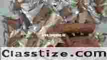 Grab the Best Diwali Deals on Sex Toys in Surat