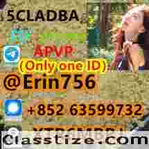 5CL-ADB 5cladba 5cladb 5fadb 5cl-adb-a adbb