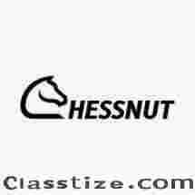 Explore Electronic Chess Sets - ChessNutTech Collections