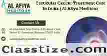 Testicular Cancer Treatment Cost In India |  Al Afiya Meditour