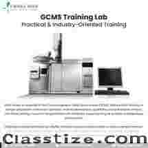 Where Analytical Skills Meet Real Laboratory Experience