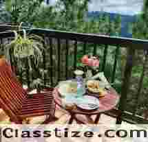 Discover a Comfortable Stay at the Best Homestay in Kasauli