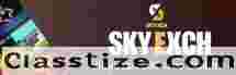 Skyexch 333 Live Casino live gaming experience