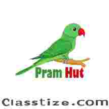 Pramhut - Best Lightweight Stroller online