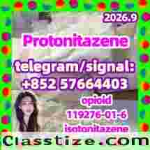 Protonitazene CAS 119276-01-6