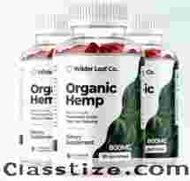 Can Wilder Leaf Gummies support an active lifestyle?