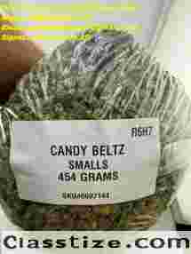 Signal: +(34)607218704) BUY PISTOL GUNS IN USA|BUY CASHAPP,ZELLE,PAYPAL,BITCION FLIPS ONLINE IN USA,UK,EUROPE