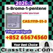    High purity 5-Bromo-1-pentene 