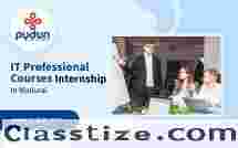 Internship