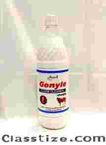 Buy Now – Panchgavya Gonyle Floor Cleaner for a Pure Home