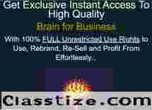 Brain for Business Review