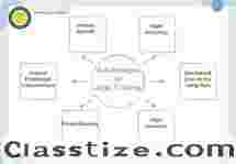 Stock Trading Institute with Personalized Mentorship and Small Batches