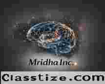 SEO Services in USA – Boost Your Online Presence