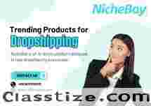 Launch Your AI-Powered Dropshipping Store with NicheBay