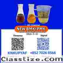 BMK 5449-12-7 paired with PMK 28578-16-7 kept in stock