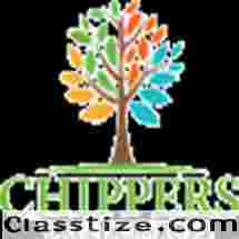 Tree Trimming vs Tree Pruning – What’s the Difference?