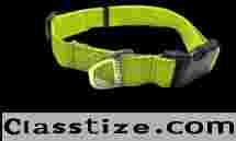 Buy Pet Accessories Online in India – Krazzy Pets Official Store