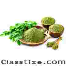 Organic Moringa Powder Trader & Exporter