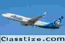 Spirit Airlines Customer Service Phone Number 1888-976-8505