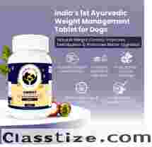 Your Dog Doesn’t Need a Diet. It Needs a Reset