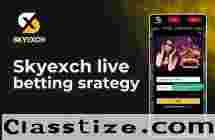 Skyexch Live Betting Strategy 2026 – Features, Tips