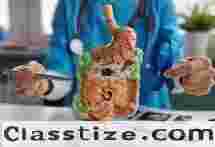 Relief from Digestive Discomfort with a Functional GI Disorders Specialist Ahmedabad