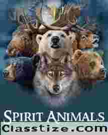 【✚２７７２５７７０３７６】: Decoding Spiritual Messages from Nearby Animals